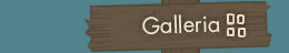 link_gallery